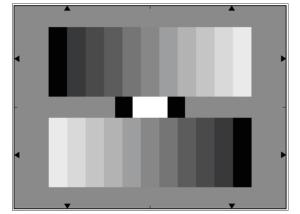 YE0153 Grey Scale Lens Resolution Test Chart Reflective With 11 Patches