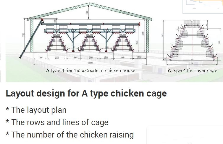 High Capacity Poultry Breeding Cages A Frame Layer Cages Easy Maintain