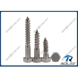 China 304/316/A2/A4 Stainless Steel Hex Wood Screw / Lag Bolt on sale China 304/316/A2/A4 Stainless Steel Hex Wood Screw / Lag Bolt on sale