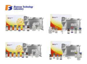 China Rat Fbg ELISA Test Kit Fibrinogen Immunoassays Test Kit With High Sensitivity and Specificity wholesale