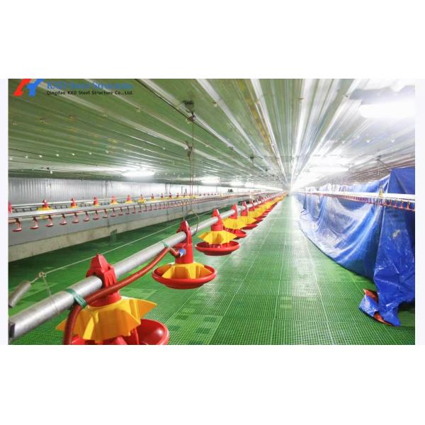 Steel Structure Plant Warehouse Poultry House Commercial Building Steel Structure