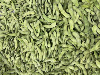 Nutritious Frozen Edamame Beans With No Rusty Spot