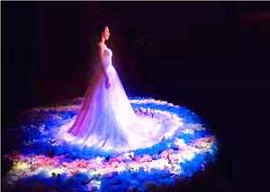 China Custom Interactive Hologram Display , 3D Hologram Screen For Advertising on sale
