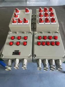 Iibt4 Exd Ip66 Explosion Proof Junction Box Control  Panel Distribution