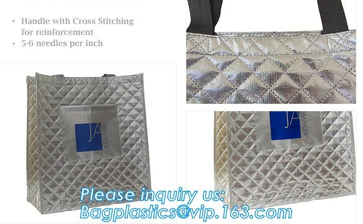 Customized logo printing insulated food delivery cooler bag,wholesale waterproof food delivery thermal bags bagplastics