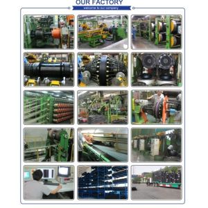 Qingdao Shanghe Rubber Technology Co., Ltd