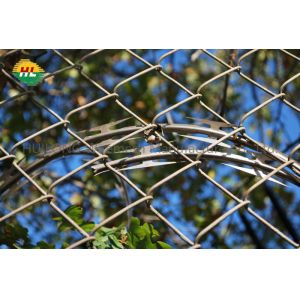 China 2.5mm Galvanized Razor Barbed Wire wholesale
