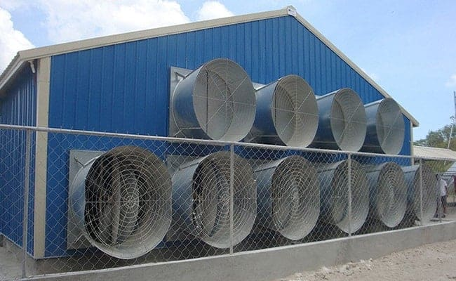 Poultry Farm Chicken Shed Livestock Building House For 10000 Chickens Light Design With Welding Cutting & Bending Services