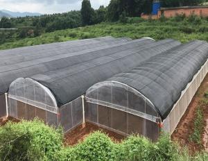 China 0.12mm-0.8mm UV Resistant Plastic Sheeting Greenhouse Anti Drip wholesale