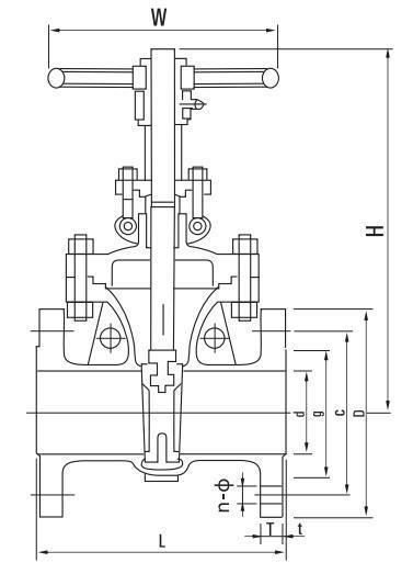 Xt ANSI Flange Gate Valve (Z41W)