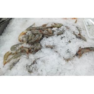 1 Tons Freshwater Flake Ice Machine Commercial 380V 220V