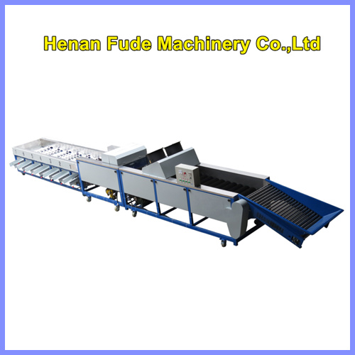 sugar orange sorting machine, sugar orange grading machine