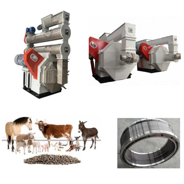Quality 45KW Ring Die Feed Pellet Machine Sheep Cattle Feed Pellet Machine for sale