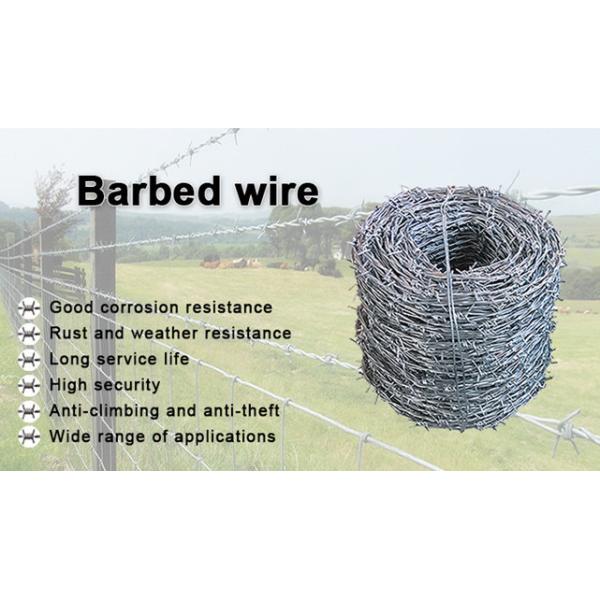 Non Rusting Boundary Wall Barbed Wire 2mm Diameter Great Protection