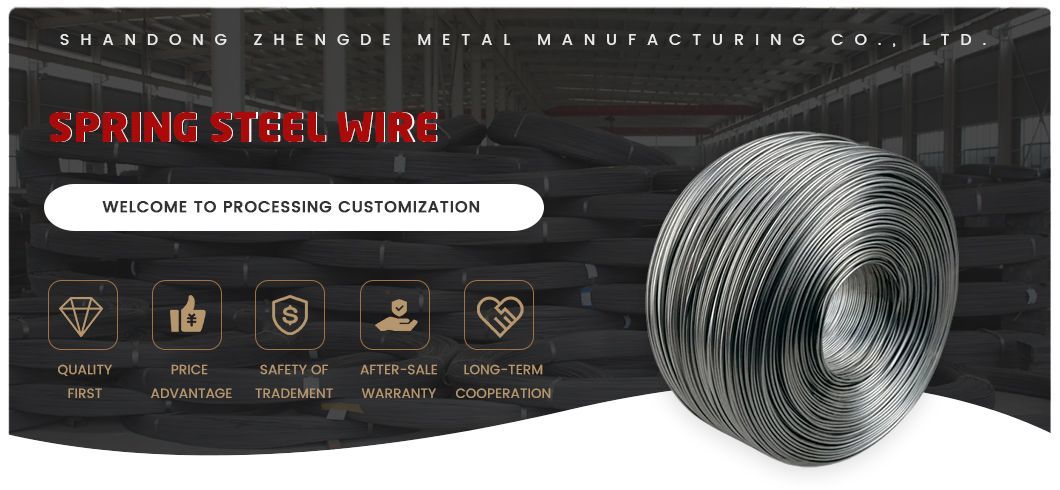 Construction Material 2.00-5.00mm 302 304h Cold Drawn Bright Surface Stainless Steel Spring Wire/Spring Steel Wire Rod with Workshop Production