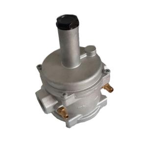 Good Design Natural Gas Filter Gas Pressure Regulator Silvery White Color