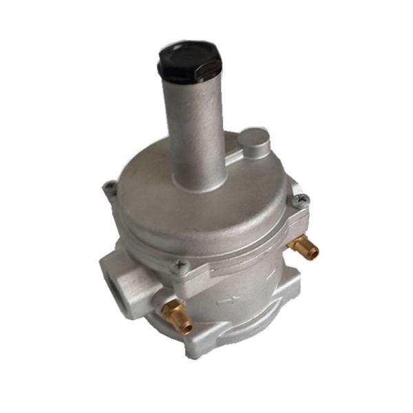 Quality Good Design Natural Gas Filter Gas Pressure Regulator Silvery White Color for sale