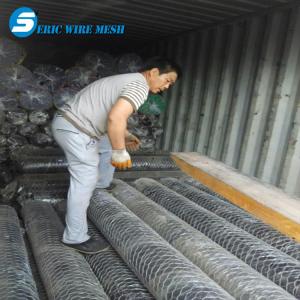 China High quality galvanized/pvc coated hexagonal wire netting/hexagonal wire mesh for farm wholesale