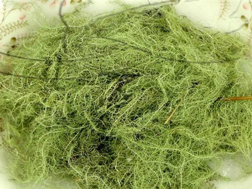 High Quality pure Lichen Usnea Extract Usnic Acid 98% , Usnea barbata powder