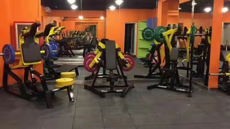 Home T Bar Row Commercial Plate Loaded Arms Back Workout Incline Level