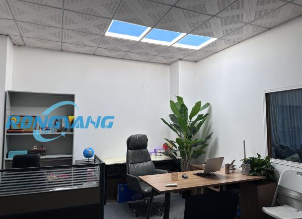 Sunlight-Mimicking Smart Light Panel – Transform Windowless Spaces with