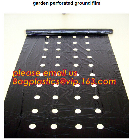 HOTICULTURAL MULCH FILM,AGRICULTURAL PE FILM,MARKET GARDENERS CLOCHE FILM,PE FILM FOR CORN,PLASTIC FILM COVER,TOMATO COV
