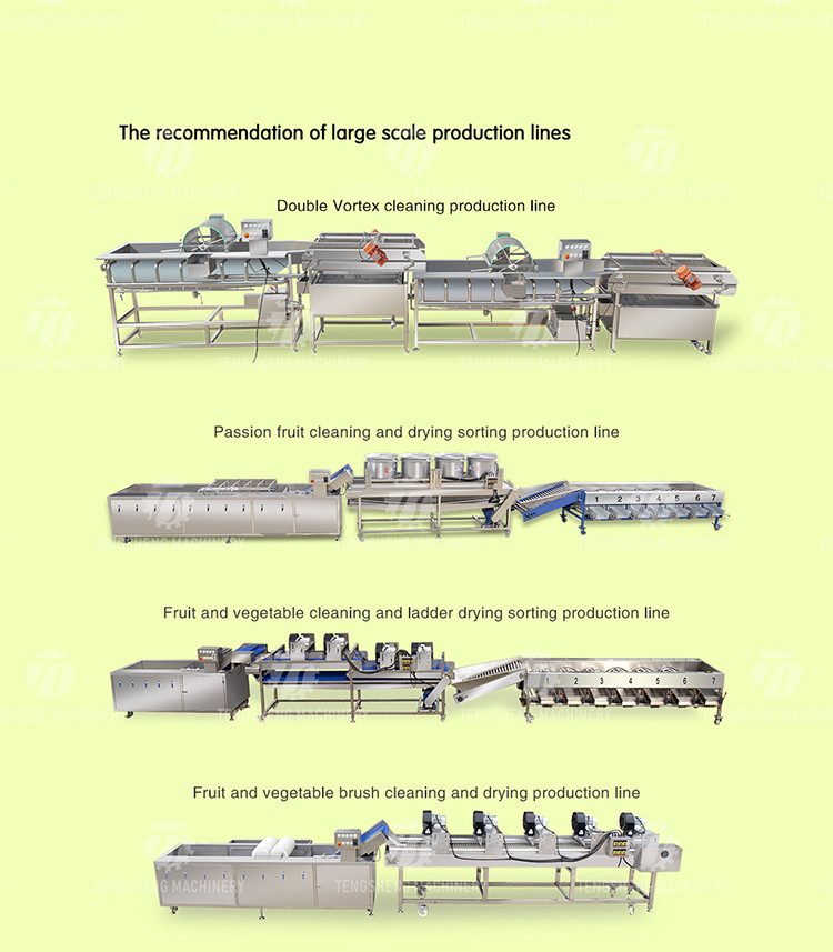 280KG Lemon screening and grading machine special stainless steel roller fruit sorting machine fruit sorting machine