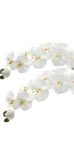 White Artificial Phalaenopsis Flower Real Touch Butterfly Orchid Flower Latex Orchids