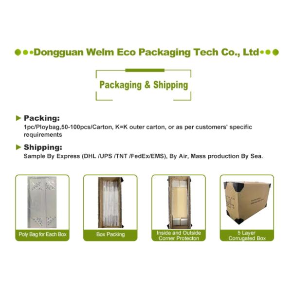 Recycled Pulp Burger Greaseproof Wrapping Paper Food Grade Single Side Coating