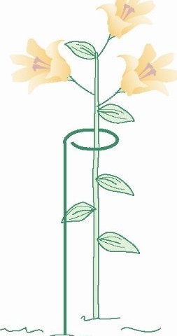 Metal Plant Support Stainless Steel Wire Forming Bright Surface For Potted Plants