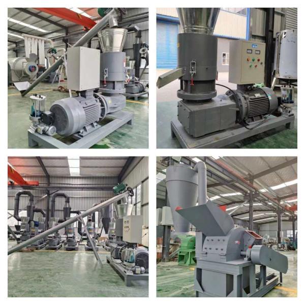 100-500kg/H Wood Pellet Mill Wood Pellet Machine Energy Efficient Low Noise