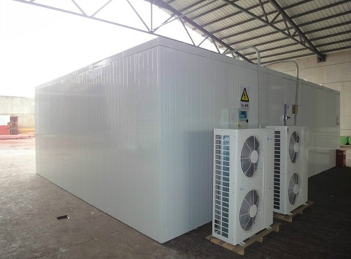Fish Cold Room Freezer Room walk in chiller rooms