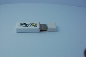 China Usb Flash drive,Usb Flash Memory,5 years warranty wholesale