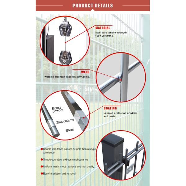 Double Wire Fence