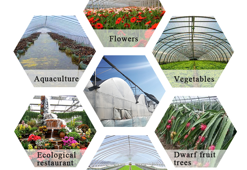 PO Single Layer Greenhouse for Agriculture Boost Agricultural Production