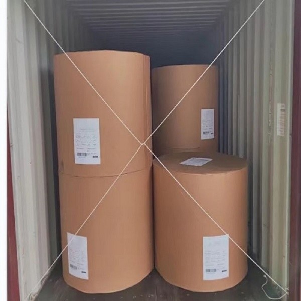 China Bible printing paper parchment bible paper roll wholesale