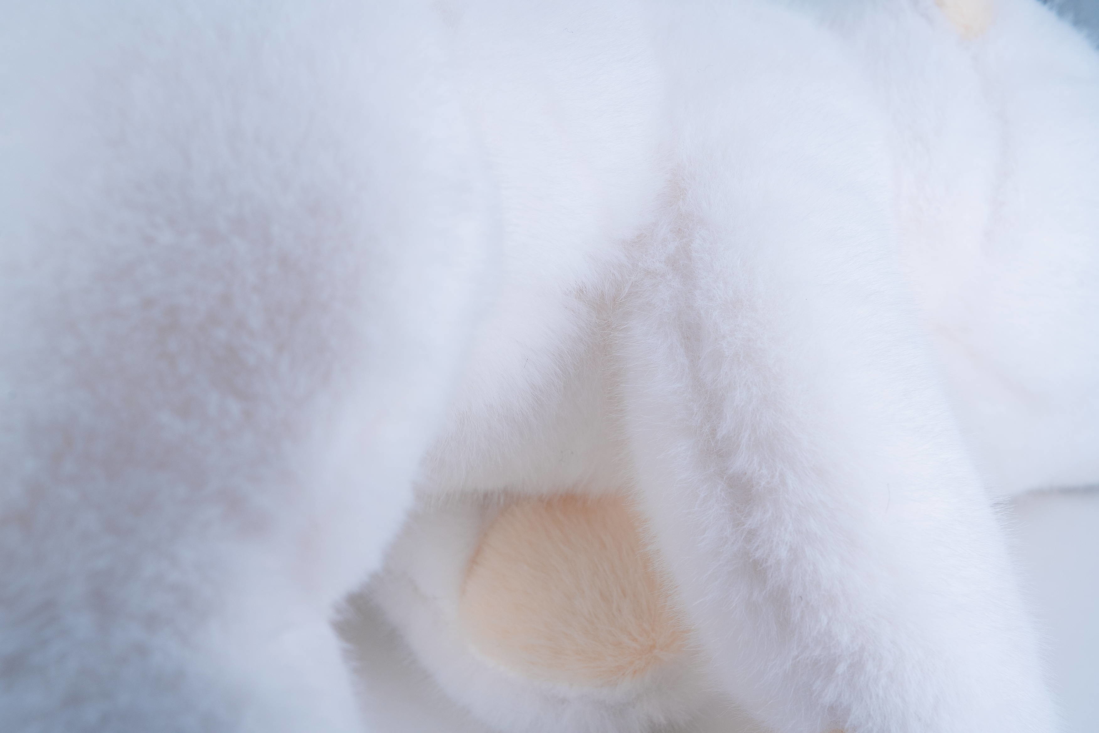 Eco Friendly Polar White Bear Plush Toy Multiple Sizes Safe And Soft
