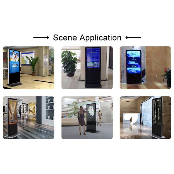 Big Screen Indoor Digital Advertising Display , Digital Information Display Monitors