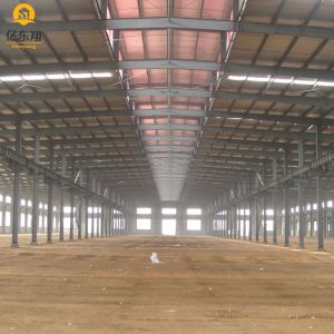 Q355 Q235B Prefab Steel Structure Building Customizable Design