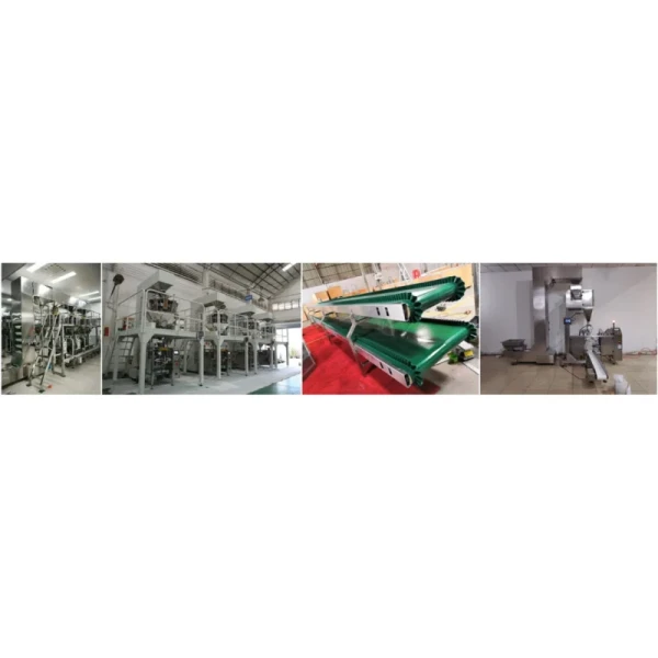 Food Grade Z Type Bucket Elevator System