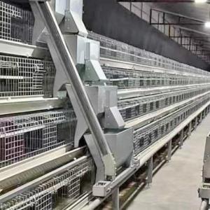 Poultry Farm Layer Chickens Battery Cages Automatic Layer Poultry Cage With Feeder And Drinker
