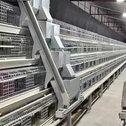 Quality Poultry Farm Layer Chickens Battery Cages Automatic Layer Poultry Cage With Feeder And Drinker for sale