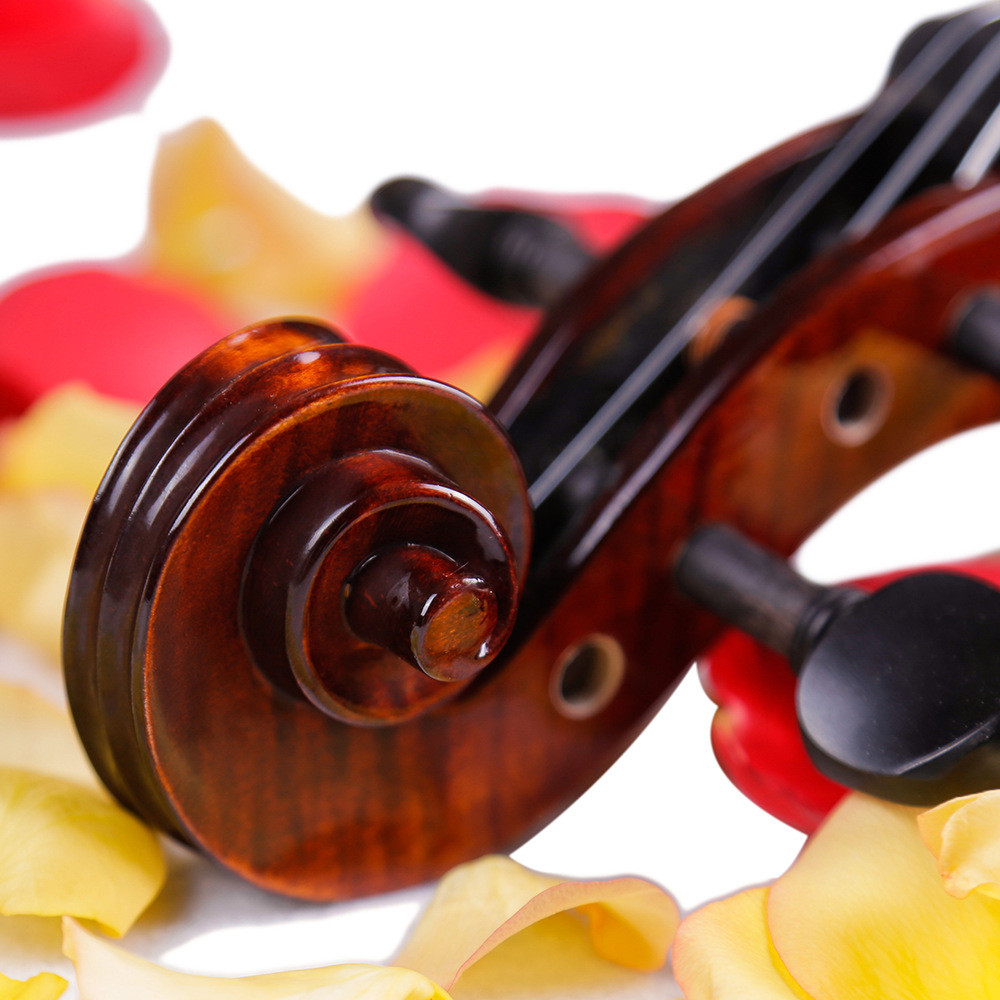 Good Sound Strings Instrument 4/4 or 3/4 Violin For Beginner Best Beginning Violin Book for Kids: Combining two popular