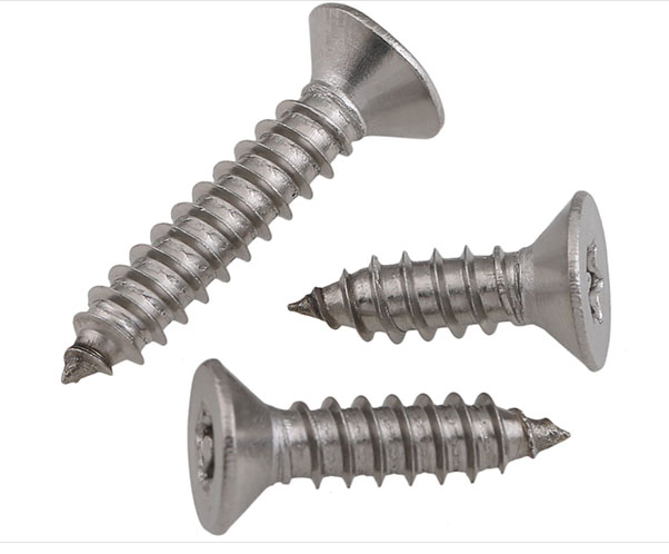 Galvanized Finish Stainless Steel Self Tapping Screw M1.2 M1.4 M1.7 M2 M2.3 M2.6 M3 M3.5 M4 M4.2 M5 M6 for Construction
