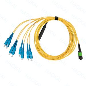 China Single Mode Breakout Sc Fiber Optic Patch Cord 12 Cores Duplex OS2 wholesale