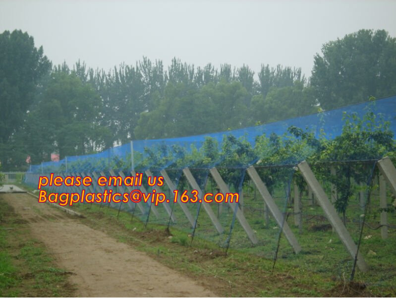 100% new HDPE insect mesh / anti bird net for apple trees,greenhouse anti insect net for plant, agriculture net Anti-ins