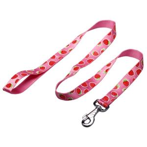 China OEM training dog leash Silk Screen Pattern dog training lead wholesale