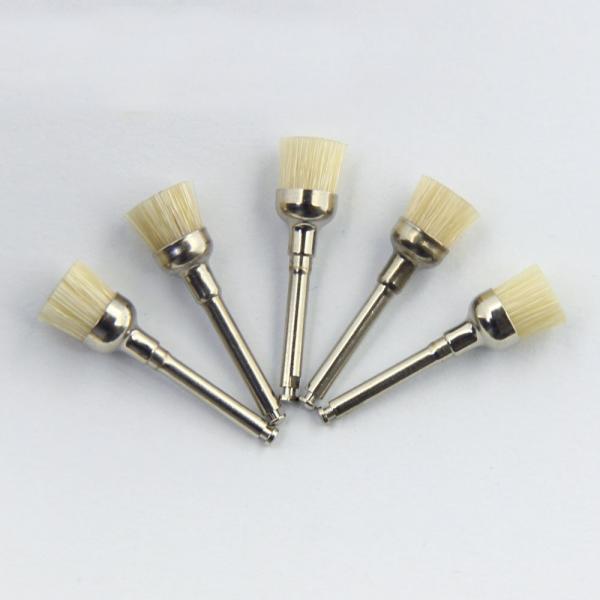 Quality Effective Polishing Teeth with Oral Health Cup Shape Prophy Brush Hard Bristles Latch Style for sale