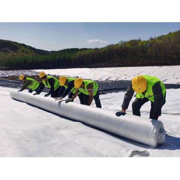 HDPE 3D Composite Drainage Network Geomat The Ultimate Solution for Water Management