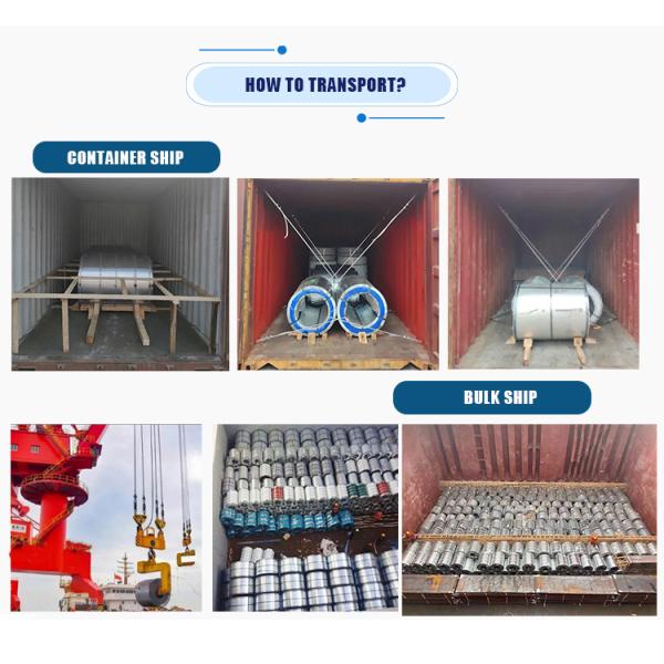 SGCC/CGCC/TDC51DZM/TDC52DTS350GD/TS550GD/DX51D Z Coating Z61-Z80 Stainless Steel Galvanized Coils for Outdoor Decoration